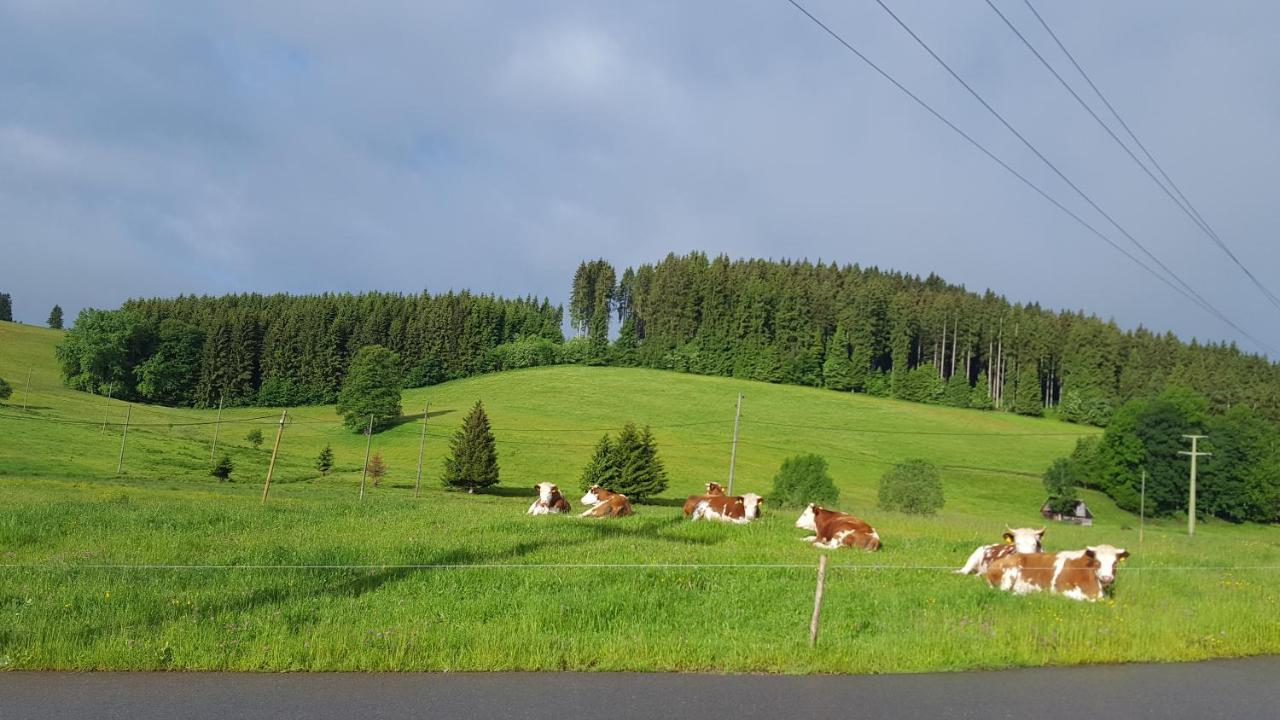 Appartement Rehblick Eisenbach  Eksteriør billede
