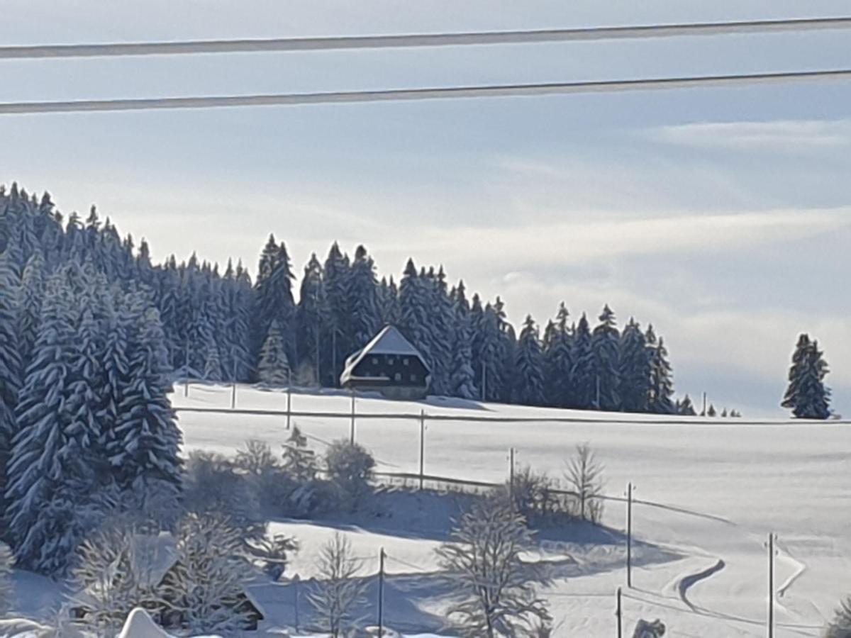 Appartement Rehblick Eisenbach  Eksteriør billede