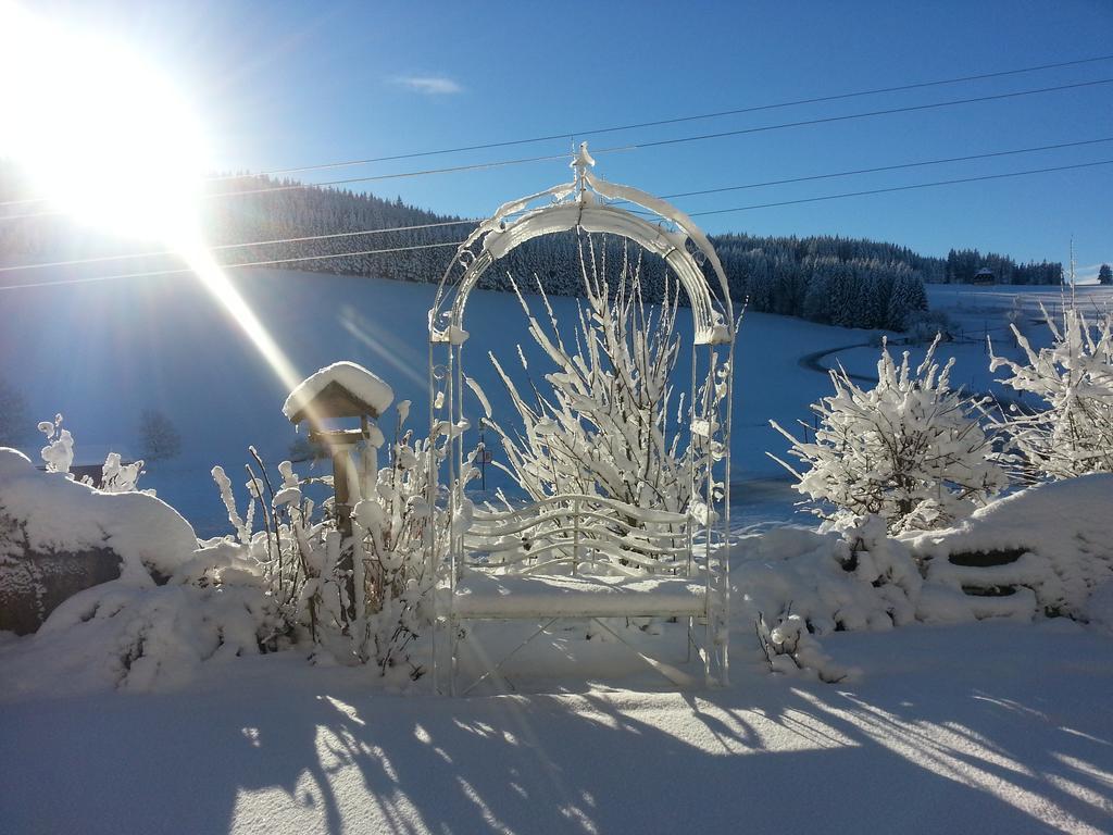 Appartement Rehblick Eisenbach  Værelse billede