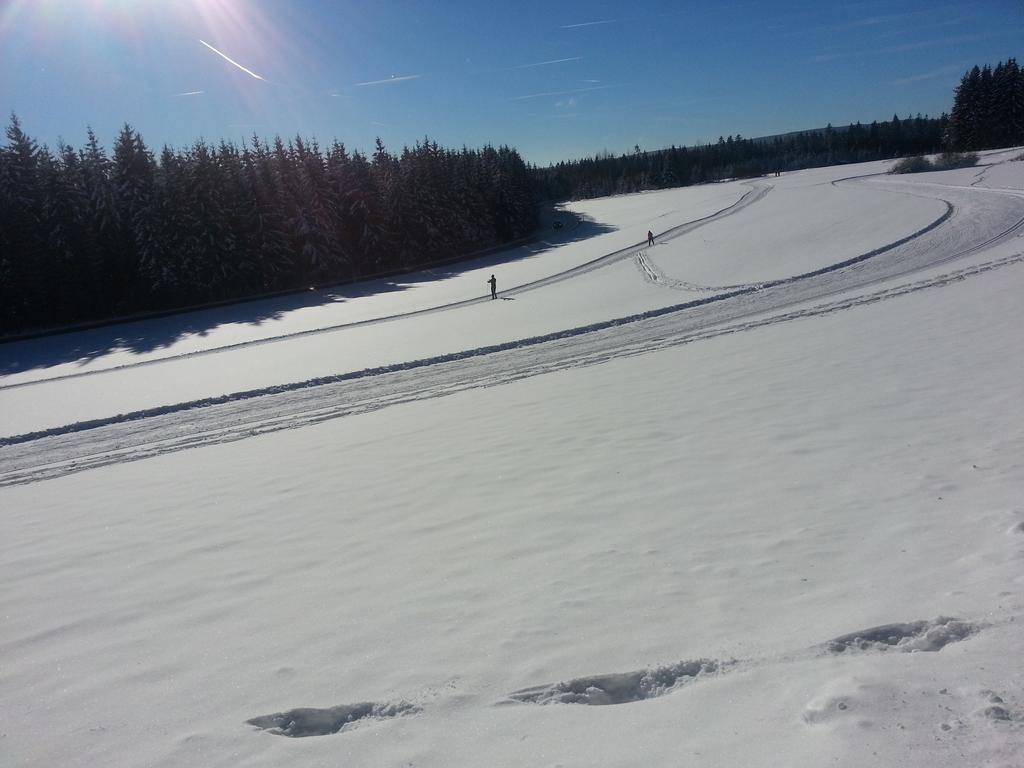 Appartement Rehblick Eisenbach  Værelse billede