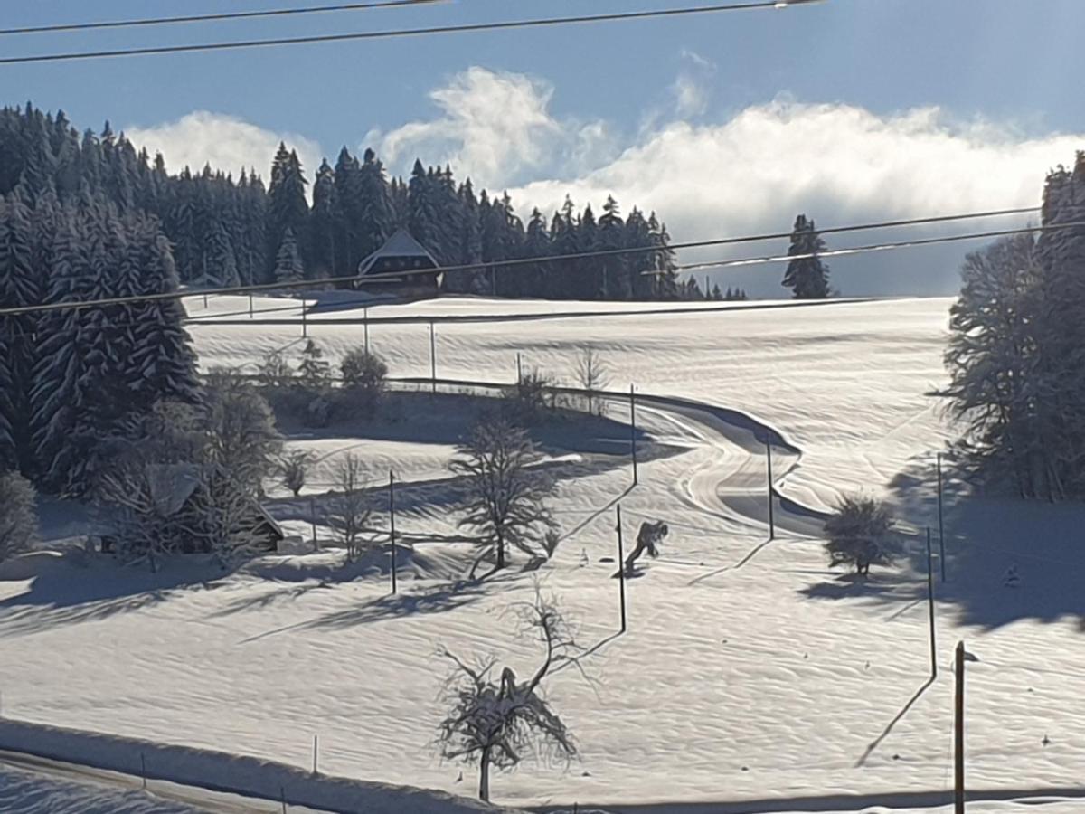 Appartement Rehblick Eisenbach  Eksteriør billede