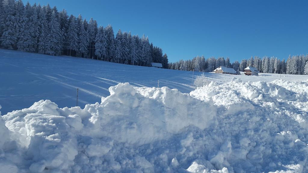 Appartement Rehblick Eisenbach  Eksteriør billede