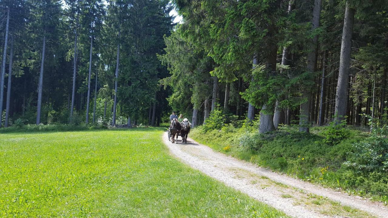 Appartement Rehblick Eisenbach  Eksteriør billede