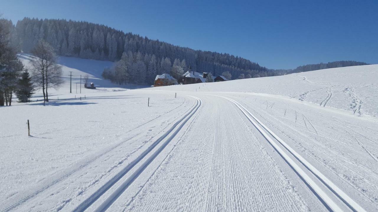 Appartement Rehblick Eisenbach  Eksteriør billede